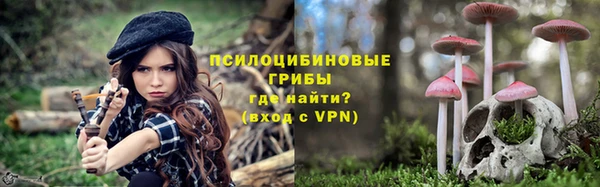 прущие крисы Алзамай
